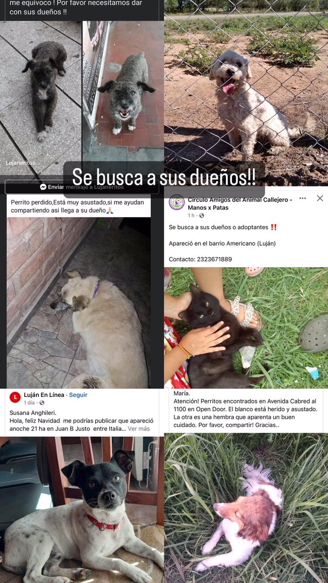 pauvarzan's tweet photo. DIFUNDIR‼️‼️‼️ https://t.co/rpESkuarnt