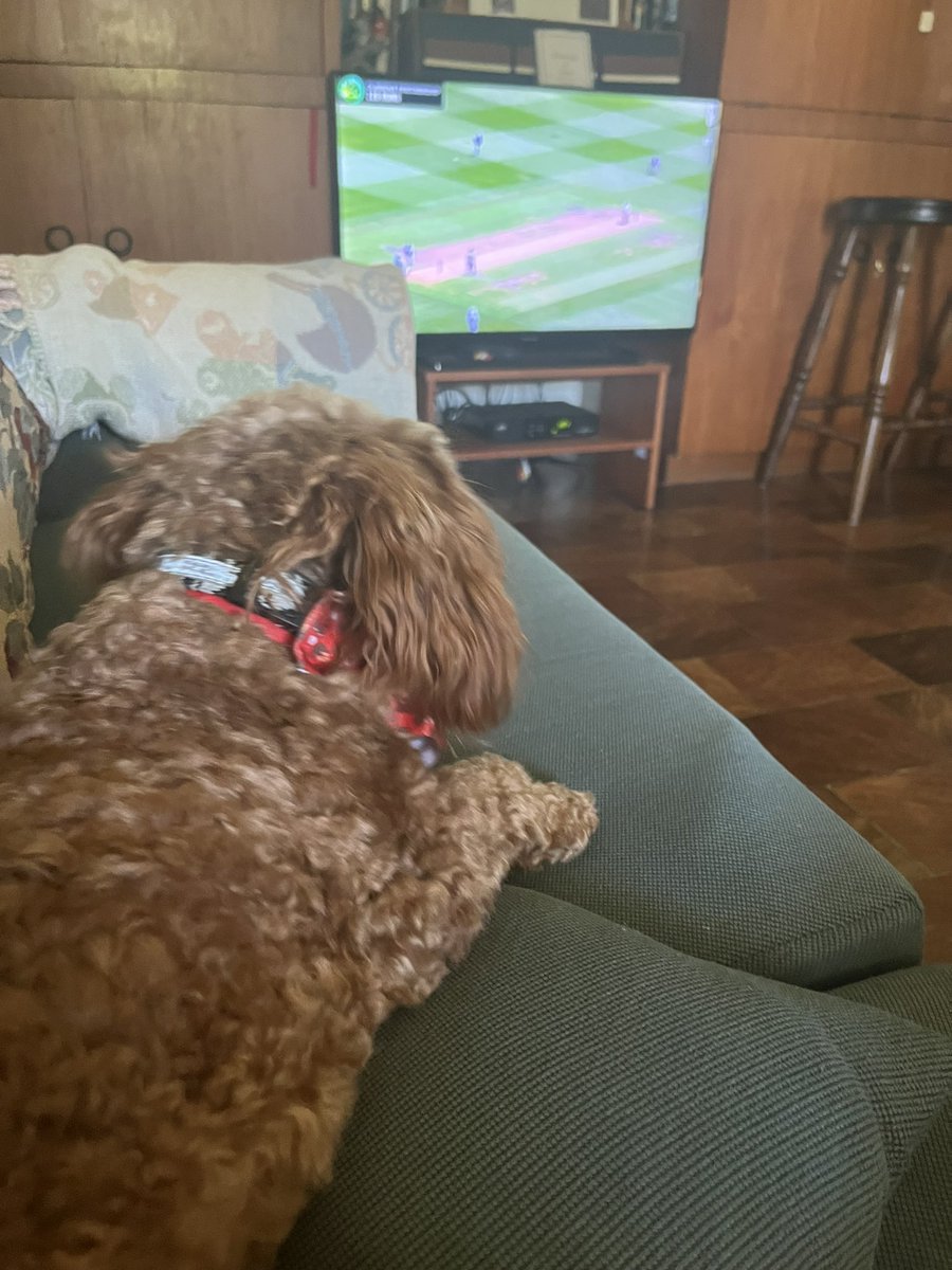 JasperMax4's tweet photo. Taking in some of the Boxing Day test #AUSvsSA https://t.co/VkQ5pK712x