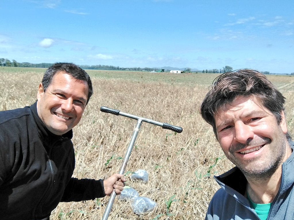 Santiguazzelli's tweet photo. El 24/12 nos agarro con @LopezdeSabando haciendo muestreos a 1 Mt de profundidad en el ensayo de #pastoreo de #cultivosdesevircios, para medir humedad en un los distintos tratamientos y evaluar recomposición del perfil en un año extremo.
@TandiliaReg 
#JuntosSabemosMas https://t.co/kH4JP7ChEs