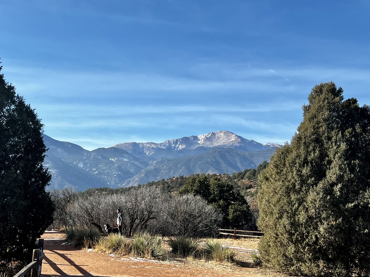 emily freeman tweet media