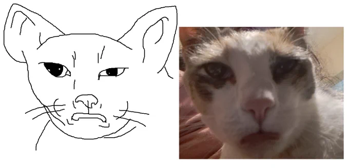 I just drew the worst picture of my cat with my mouse because im bored 