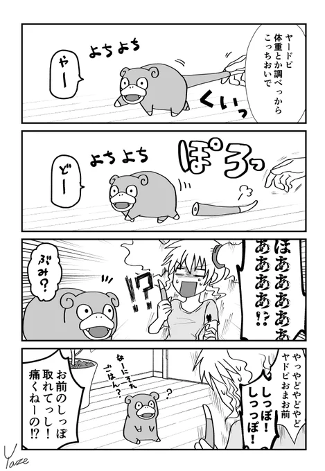 ヤドンのしっぽ 