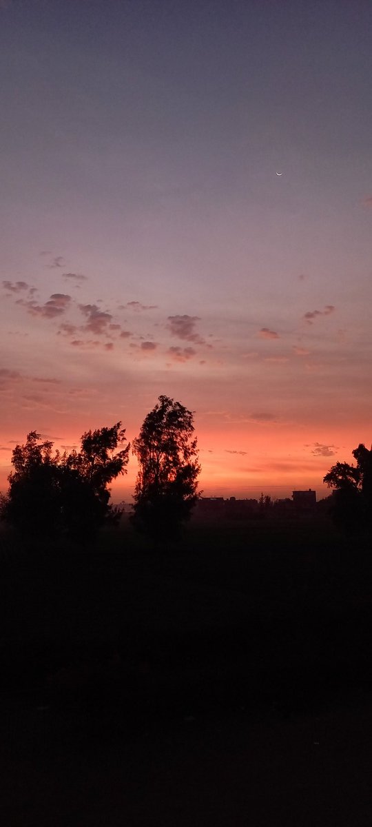 هالة (@hala_eletriby) on Twitter photo 