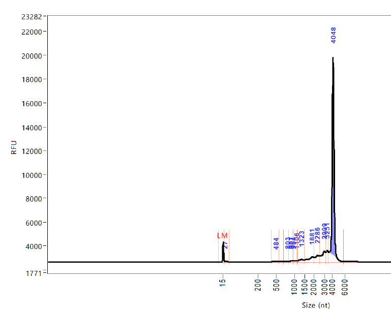 HOLY CHEESE 🧀🧀🧀 I have discovered something that should lead to the immediate investigation of the TGA and every drug regulator Two FOIs prove that there were batches of #Pfizer vaccine that had killed people and should have failed the batch analysis. But they kept jabbing.