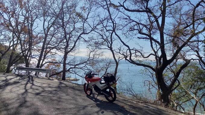 海辺に戻り、ここで昼食小豆島名物のひしお丼を食べた。まずいわけがない。うめかった。 