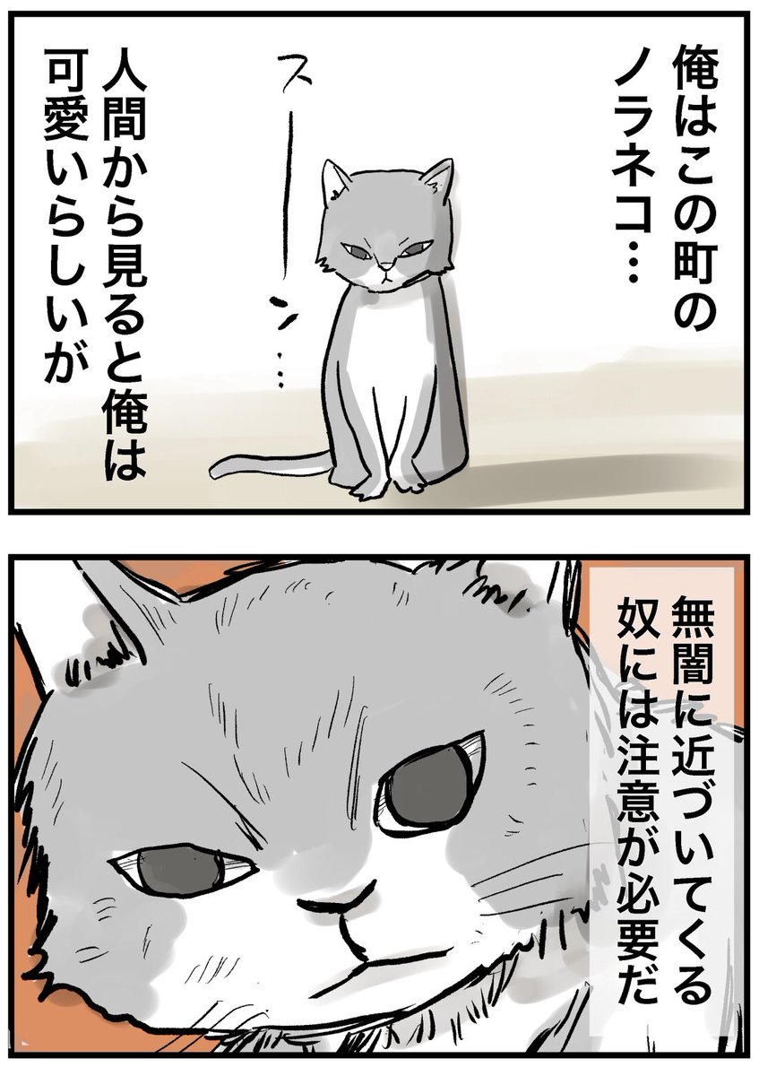 のらねこ
#しなのんちのいくる 