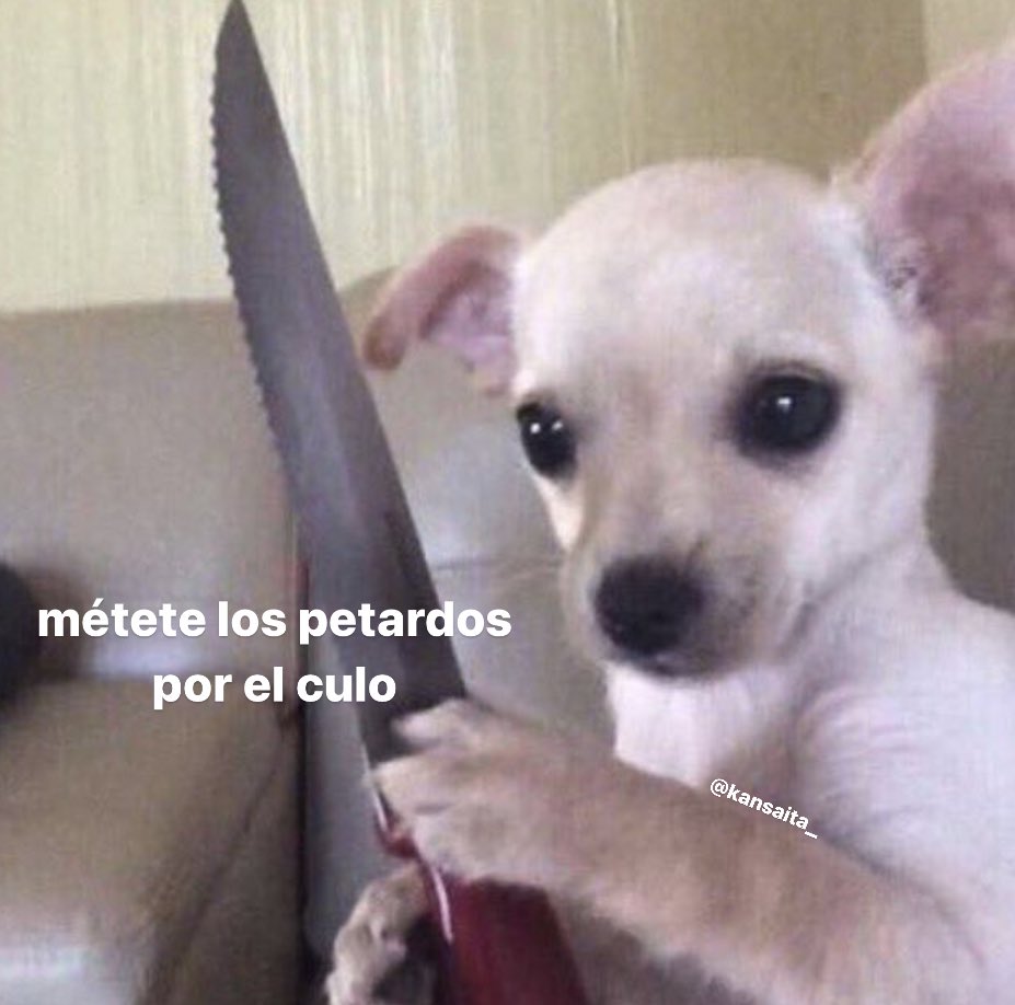 Cap0cha's tweet image. Piensen en los animales😶