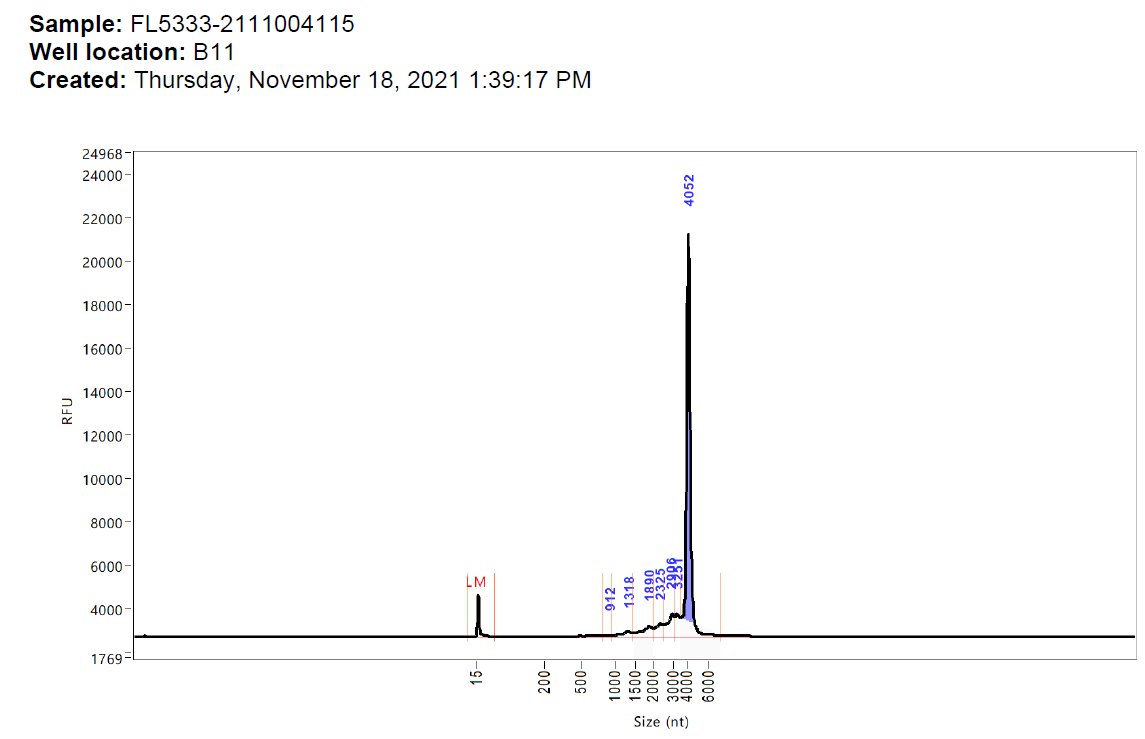 So this is the bombshell. ▶️The Agilent curve showed irregularities in the RNA analysis that was ignored by the TGA. Here they are. Note the batch numbers FL5333, FH3221, FK0738 and FL7649 - all death batches.