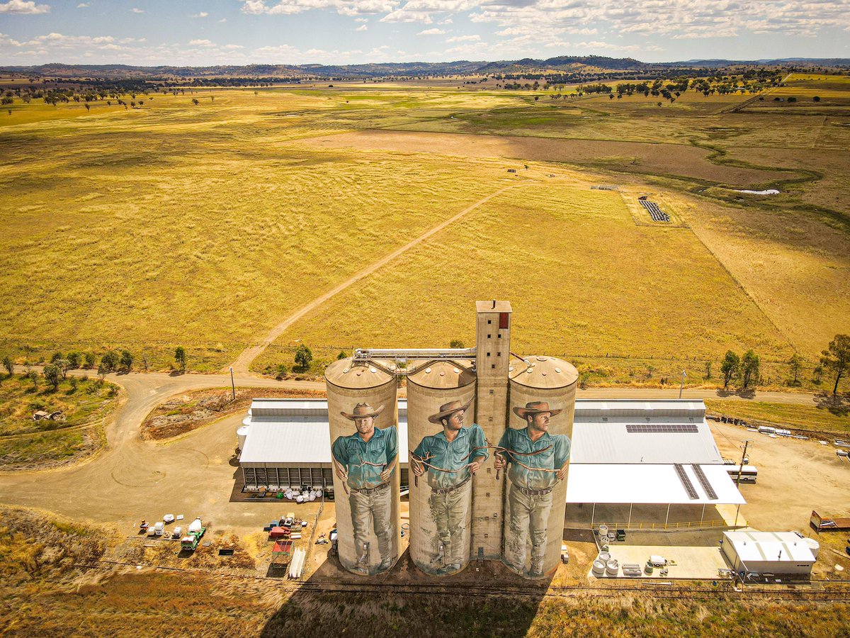 mrseanconnelly's tweet photo. Barraba Silo Complex #barraba #nsw #newsouthwales #countrynsw #storm #rainclouds #rain #seanconnelly #seanconnellybarraba #friday #xmas #christmaseve #fpv #dji #djimavic #djimavicair #barrabasiloart #barrabasilo #barrabasilos #barrabasiloproject #silotrail #siloart https://t.co/q4aEkCGdtR