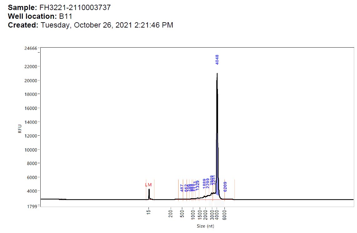So this is the bombshell. ▶️The Agilent curve showed irregularities in the RNA analysis that was ignored by the TGA. Here they are. Note the batch numbers FL5333, FH3221, FK0738 and FL7649 - all death batches.