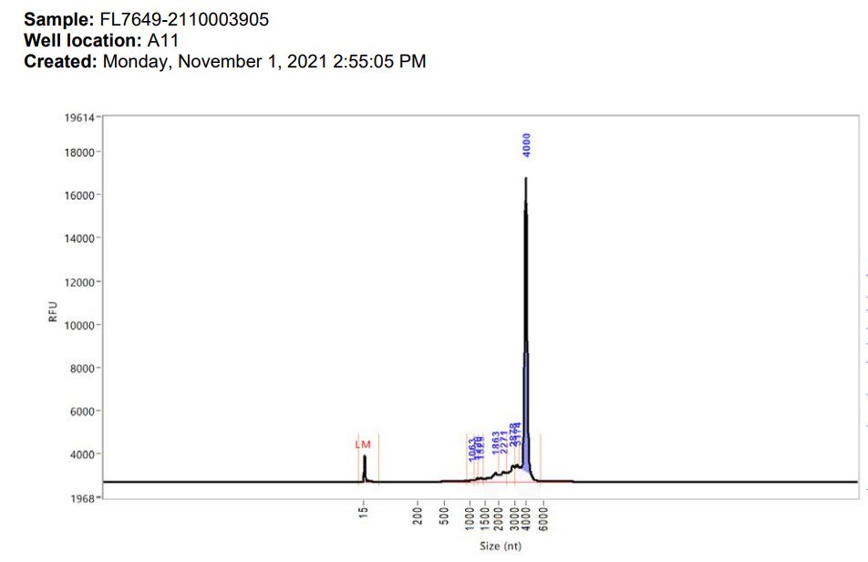 So this is the bombshell. ▶️The Agilent curve showed irregularities in the RNA analysis that was ignored by the TGA. Here they are. Note the batch numbers FL5333, FH3221, FK0738 and FL7649 - all death batches.