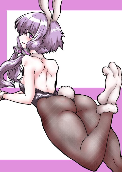 今日のバニーガールゆかりさんです 