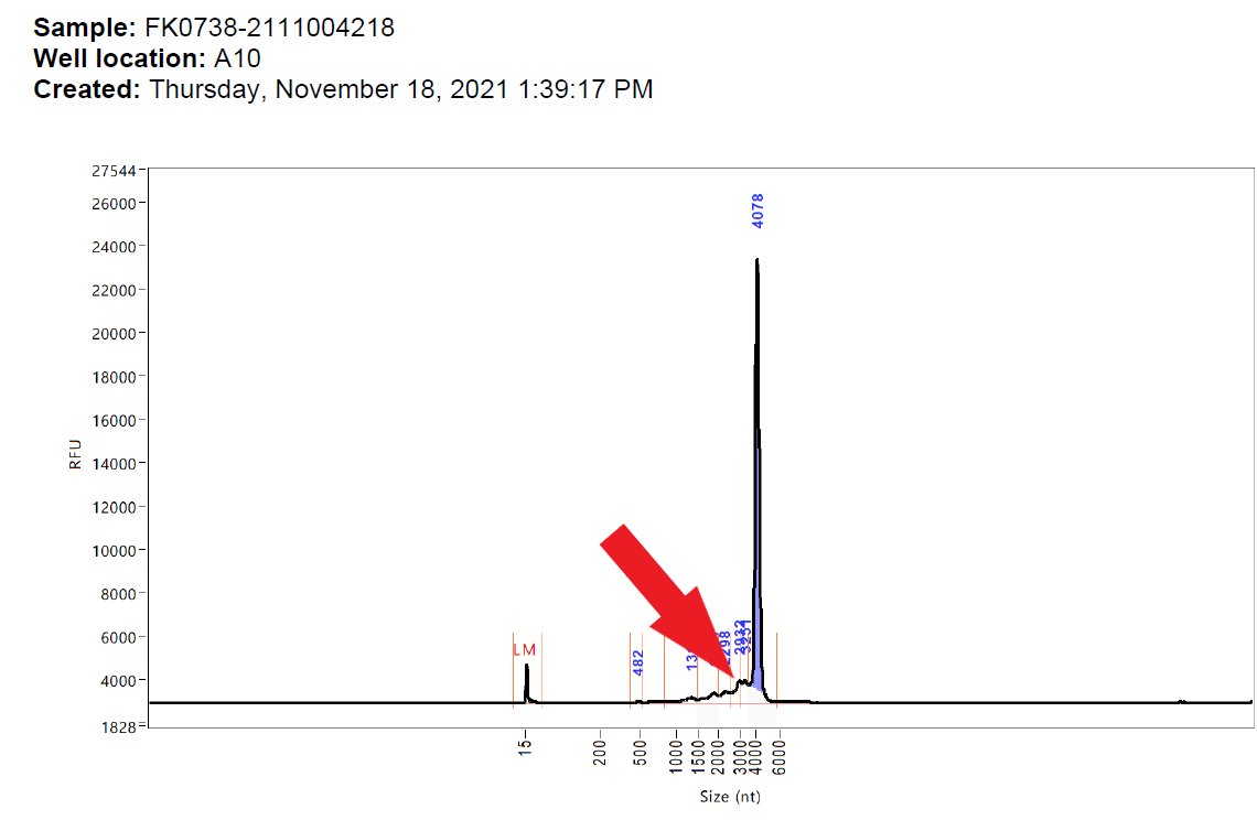 To illustrate what I'm talking about I've put a big red arrow on the point of interest. Subtle eh?