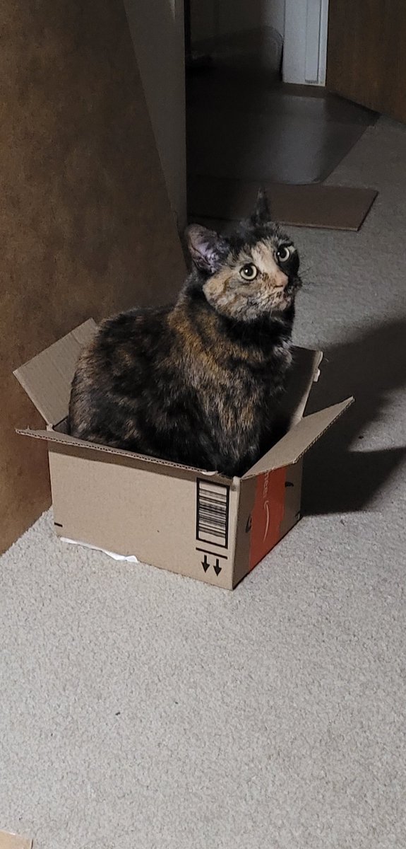 Xslice55555's tweet photo. I present a box of kiwi https://t.co/w9Kee3dtaJ