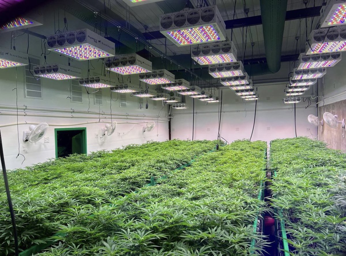 Michael.QQ🇺🇸 tweet media