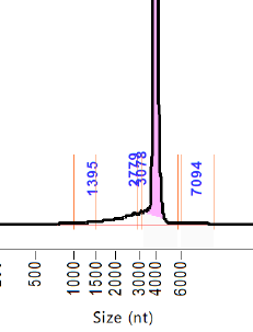 To illustrate the point further there ARE batches that don't have these humps. This is what an Agilent analysis of a relatively pure RNA should look like. A nice smooth transition from the main spike. No humps. These batches are not in the death log.