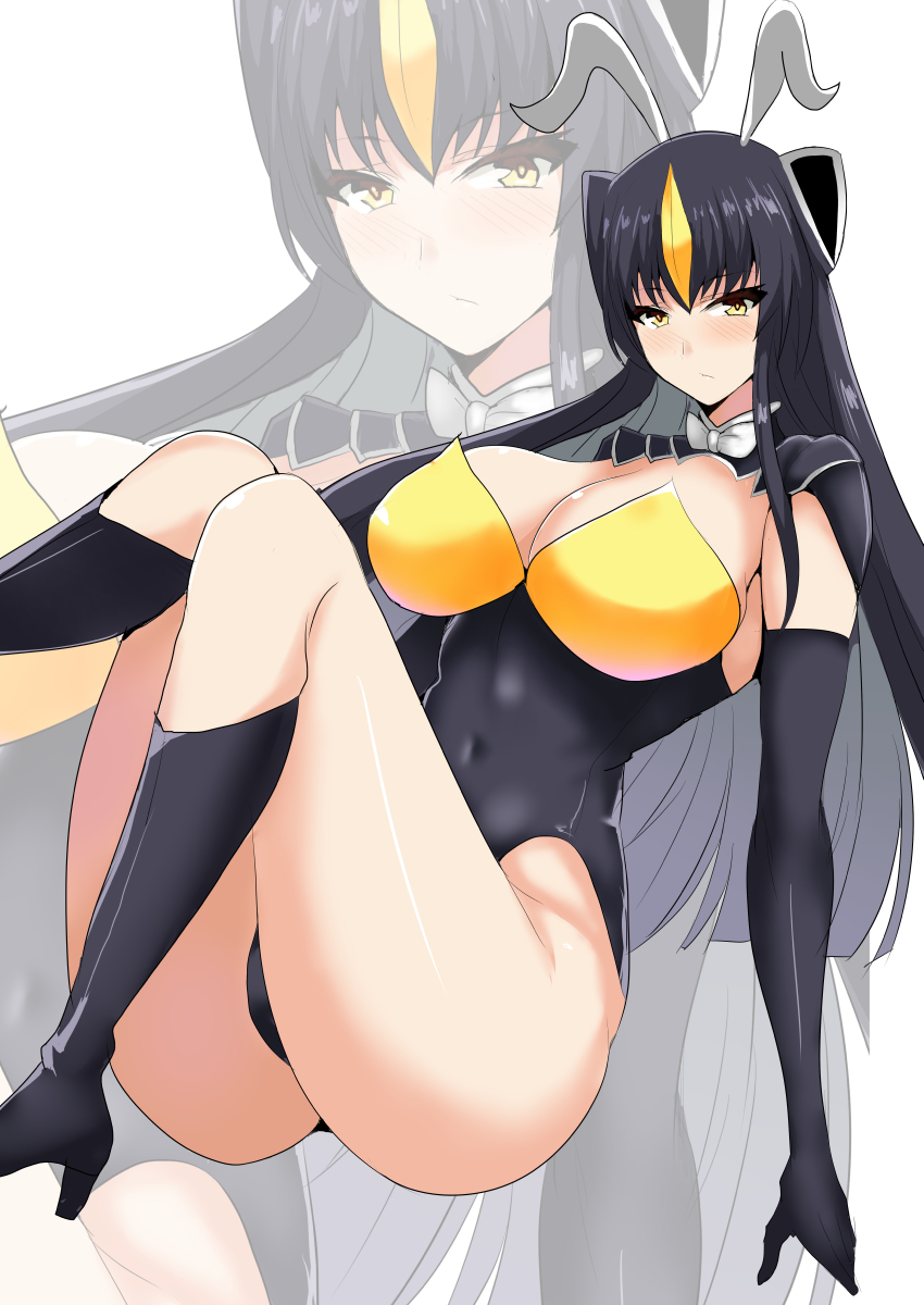 来年は卯年。バニーいっぱい描きます。お楽しみに 