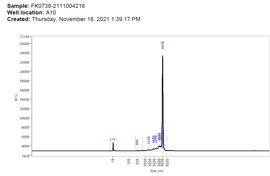 So this is the bombshell. ▶️The Agilent curve showed irregularities in the RNA analysis that was ignored by the TGA. Here they are. Note the batch numbers FL5333, FH3221, FK0738 and FL7649 - all death batches. 