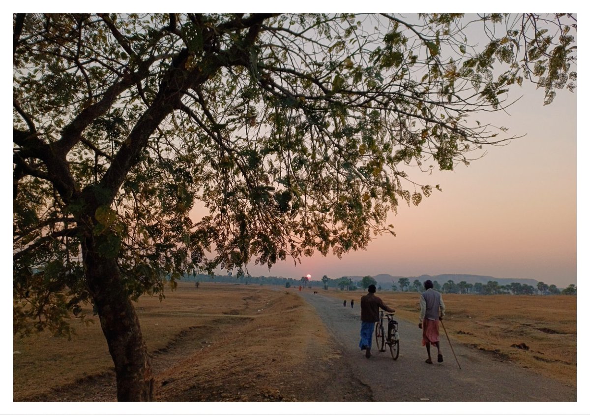 #no captions 
.
.
.
#Cinematography #directorofphotography #fiction #documentary #work #streetphotography #rural photography #Jharkhand #jharkhandtourism #IncredibleIndia #indiaphoto