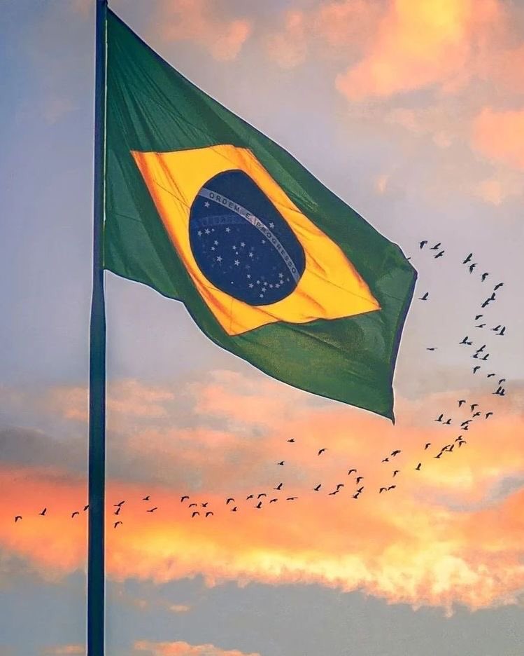 beepopofc's tweet photo. Segundo rumores, a princípio Taylor Swift fará 4 shows no Brasil em 2023, sendo 3 shows em São Paulo e um festival, também em São Paulo. https://t.co/ogiKyU51WU