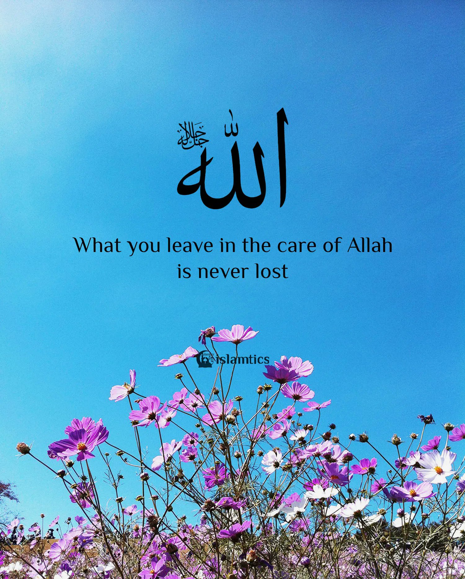 Leave It To Allah Quotes