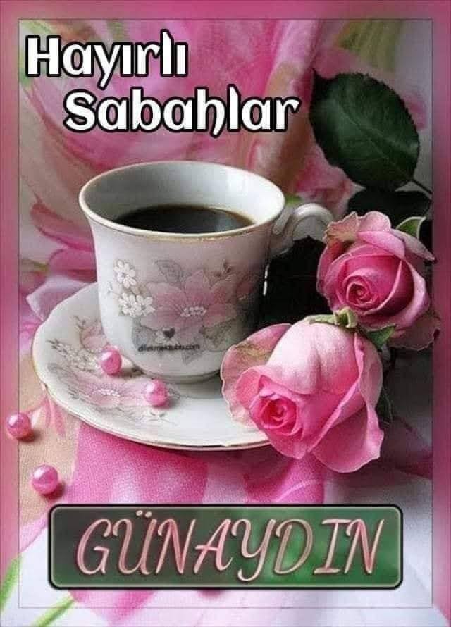 @onur_akpak @RSurmegoz @aysegulesit01 @zeynepnejla2 @songulsimsek2 @saraybosnaliyiz @Zeyyneppy @632_zeyno @serapca_123 @birseldabak @BTekn2 @samri615434 @yakup62737510 @gokhanbalciank @Fatmakydln23 @CumhurunNeferi_ @AkSahinbey_27 @sonnur_bulbul @333_yildirim @songul_5334 Allah'ın selamı üzerinize olsun selameti devletimize olsun hayırlı sabahlar kardeşim emeğine yüreğine sağlık kardeşim