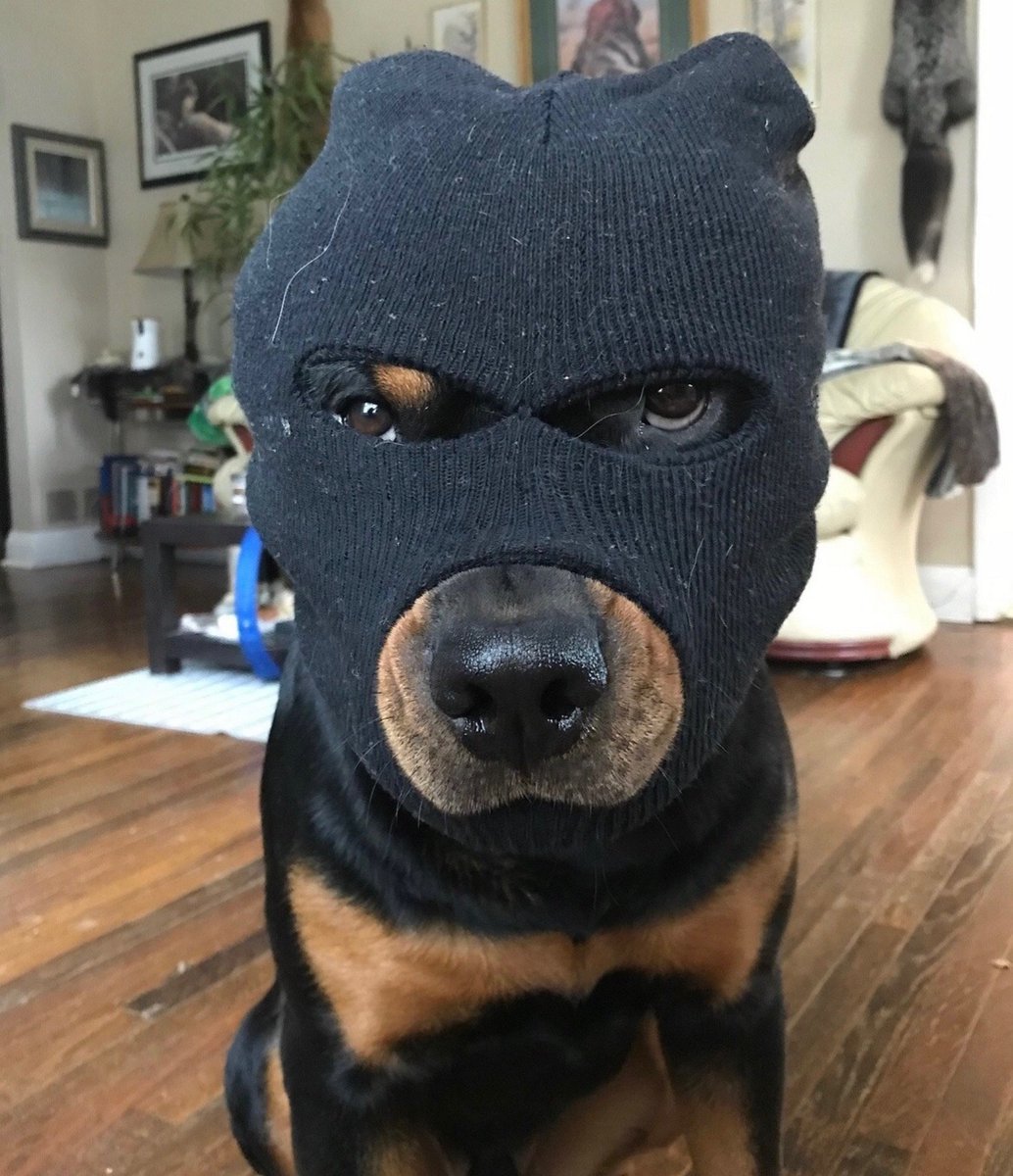 DRIP (@dript3r) on Twitter photo 