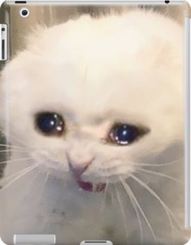 rei kami tweet media