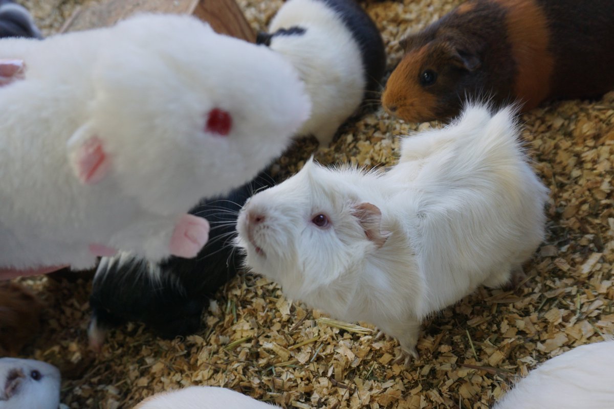 足立区生物園 on X