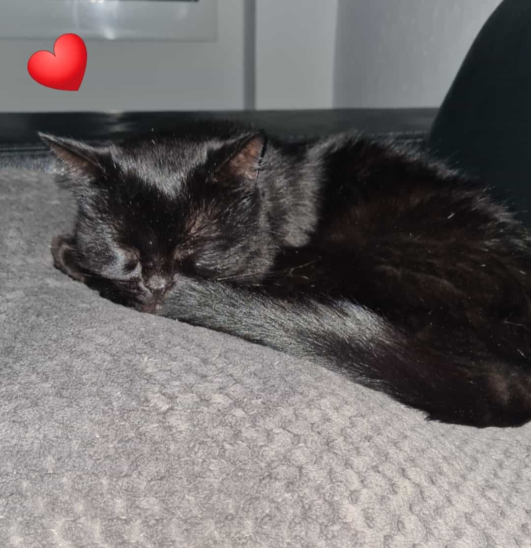 🌸Meisje42💕🌸 tweet media