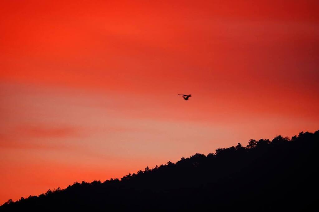 cemvedatisik's tweet photo. Istanbul #sunrise https://t.co/nIlnidrc4W