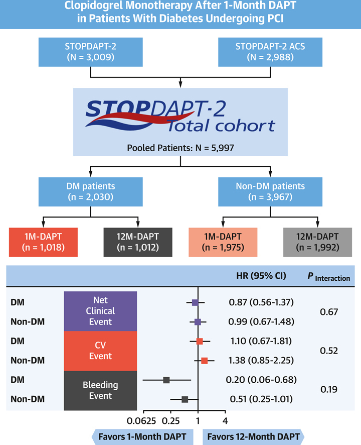 'Clopidogrel monotherapy after 1-month DAPT compared with 12-month DAPT reduced major bleeding events without an increase in cardiovascular events regardless of diabetes'
jacc.org/doi/10.1016/j.…