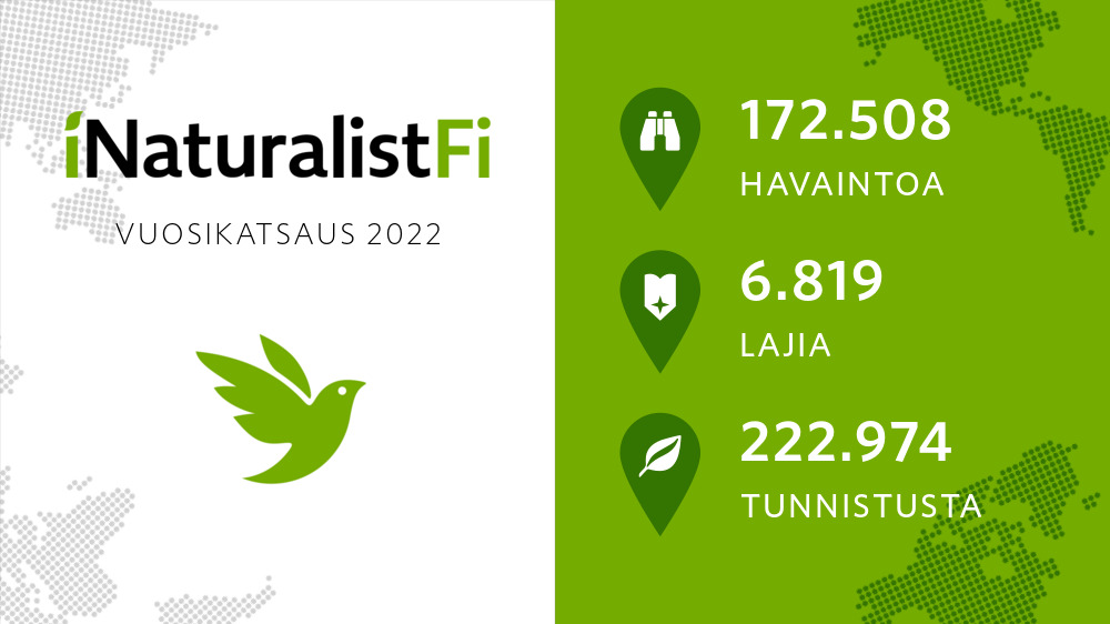 iNaturalist Suomi tweet media