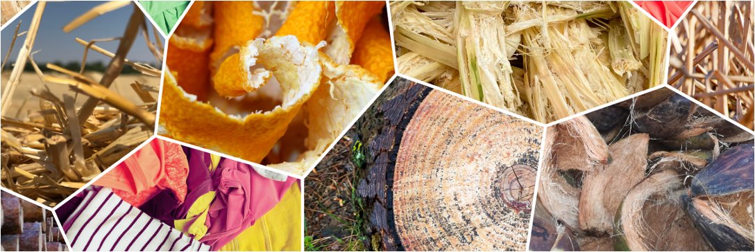 From banana fibre, to orange pulp, rice husk, maize straw and the classic wood: cellulose fibres are pathing their way beyond conventional textile applications into packaging and hygiene products. Discover more at the Cellulose Fibres Conference 2023! lnkd.in/ey_vP3xH