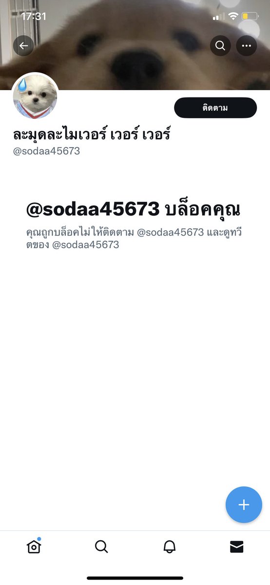 🧡miwa #ขายไอดี//รับเล่น tweet media