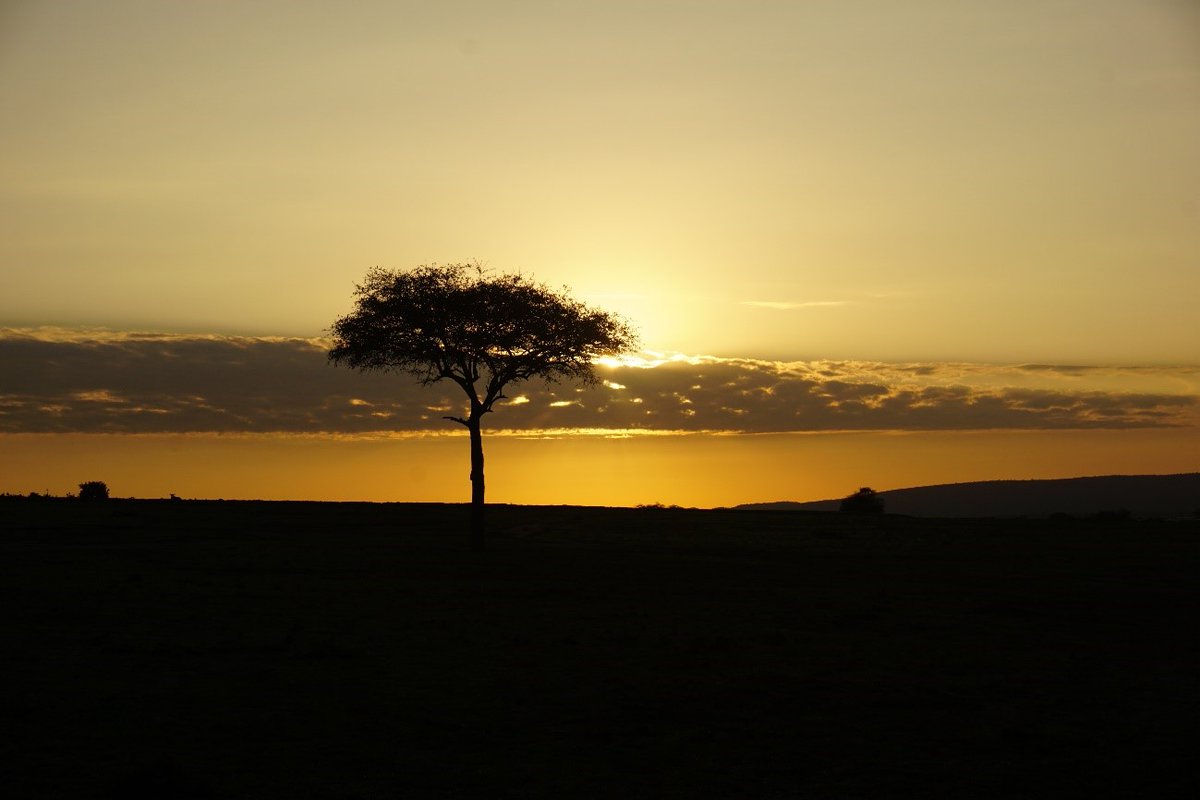 Amanece en Masai Mara.

Gracias Sonia