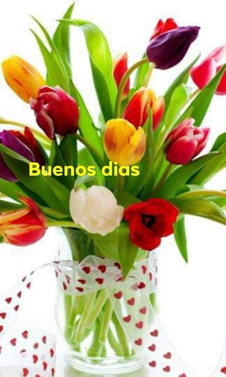 YoelDominico's tweet photo. Con nuestros estudiantes como protagonistas
@maria_laviste 
@GtmoEPedagogica 
@YaritzaCreach 
@CubaMined https://t.co/thWOy3YnRu