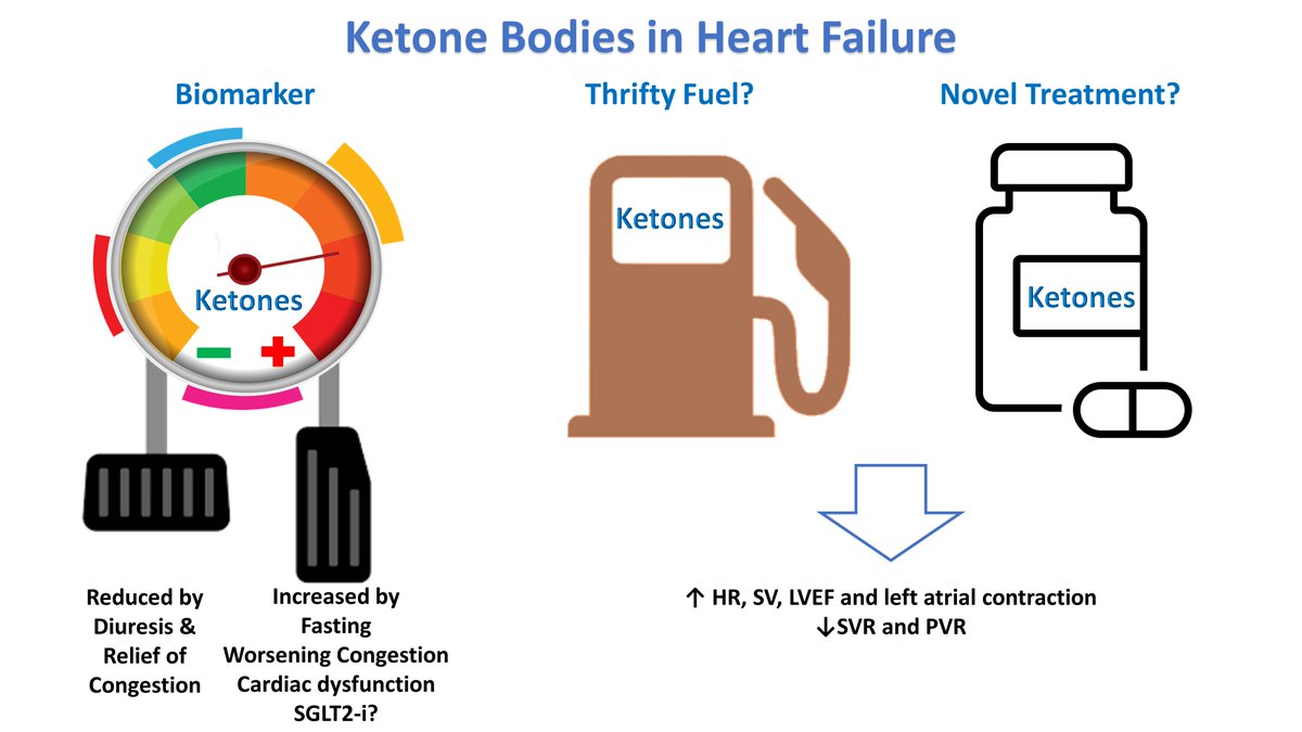 Thrilled to share our #editorial @JCardFail on Ketone Bodies in Acute Heart Failure: doi.org/10.1016/j.card… An intriguing study by @SuzanneVoorrips et al is.gd/GpAHLd Grateful to the mentorship of @PierpaoloPel Thanks to @robmentz @dranulala for this great opportunity