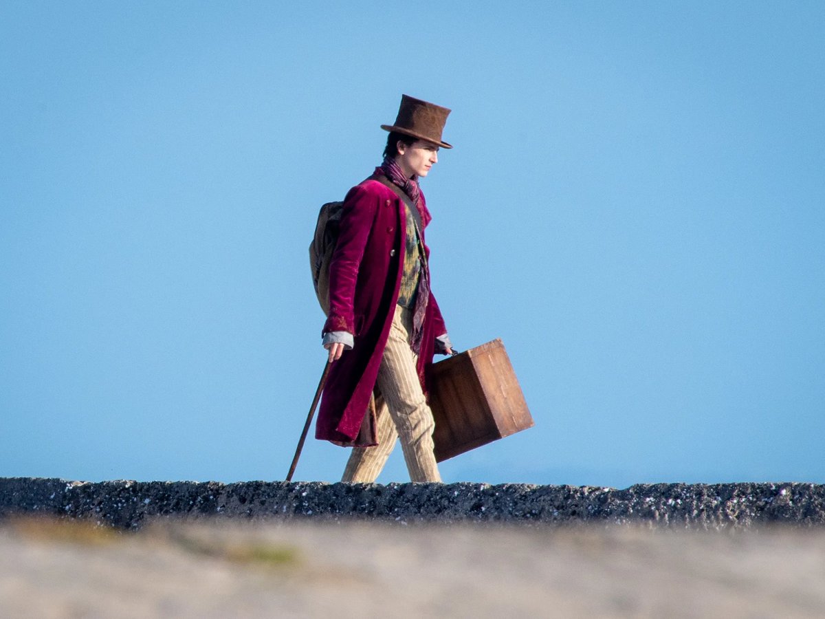 Cinema Solace tweet media