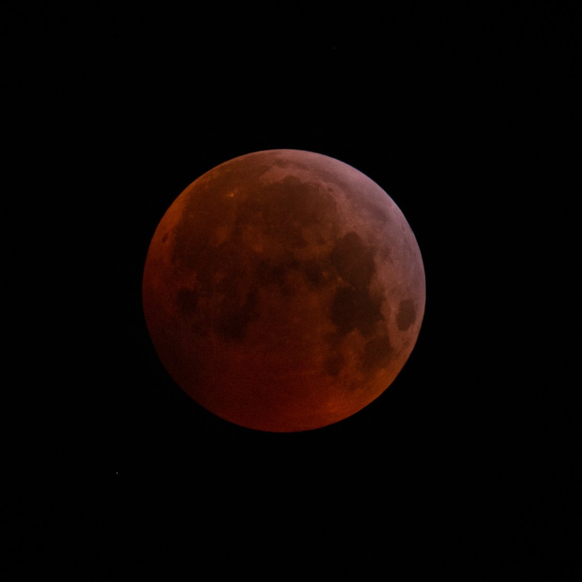 Oliver Friedrich @olfriedrich.bsky.social tweet media