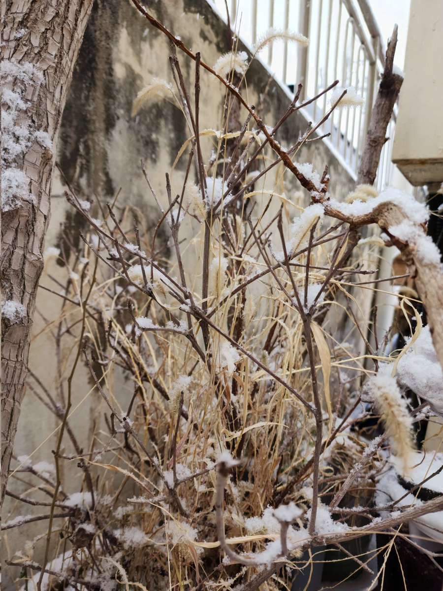 dtech_sl's tweet image. 