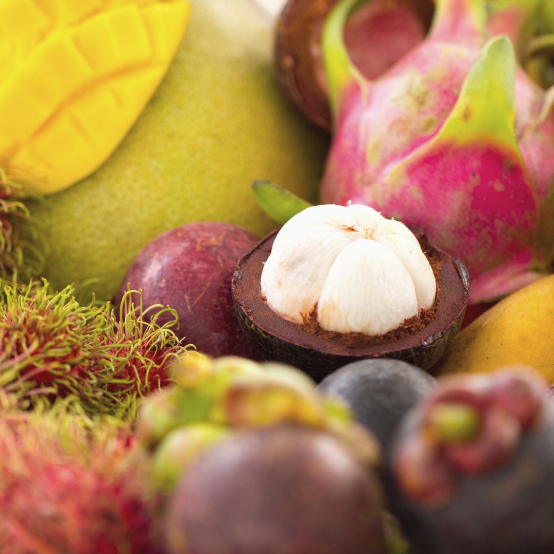 EquusHotelHi's tweet photo. Did you know? We're just a 10-minute drive from one of Hawaii's best weekend markets, the KCC Farmer's Market. Have you been to this famous Saturday market before?

Learn more: https://t.co/SIw9pXNJy5 https://t.co/C76KodG3d2