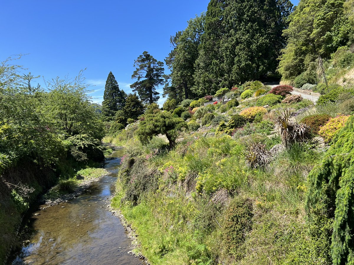 Planning my next chapter 🌿🦋🌿

#nz