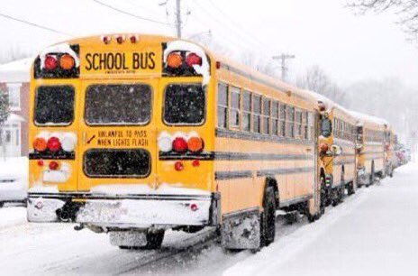 Halton Catholic DSB tweet media