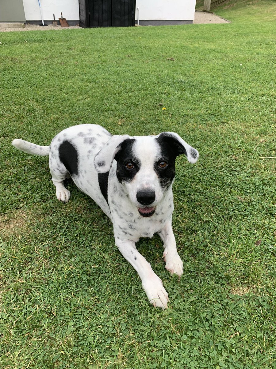 Christopher Kay tweet media