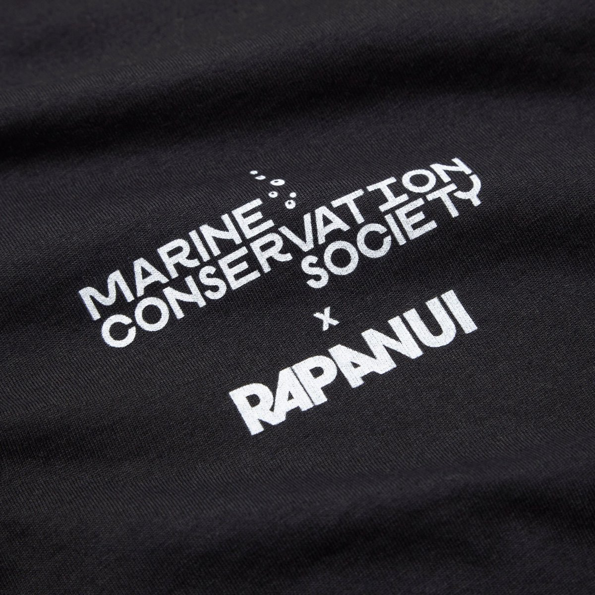 Marine Conservation Society tweet media