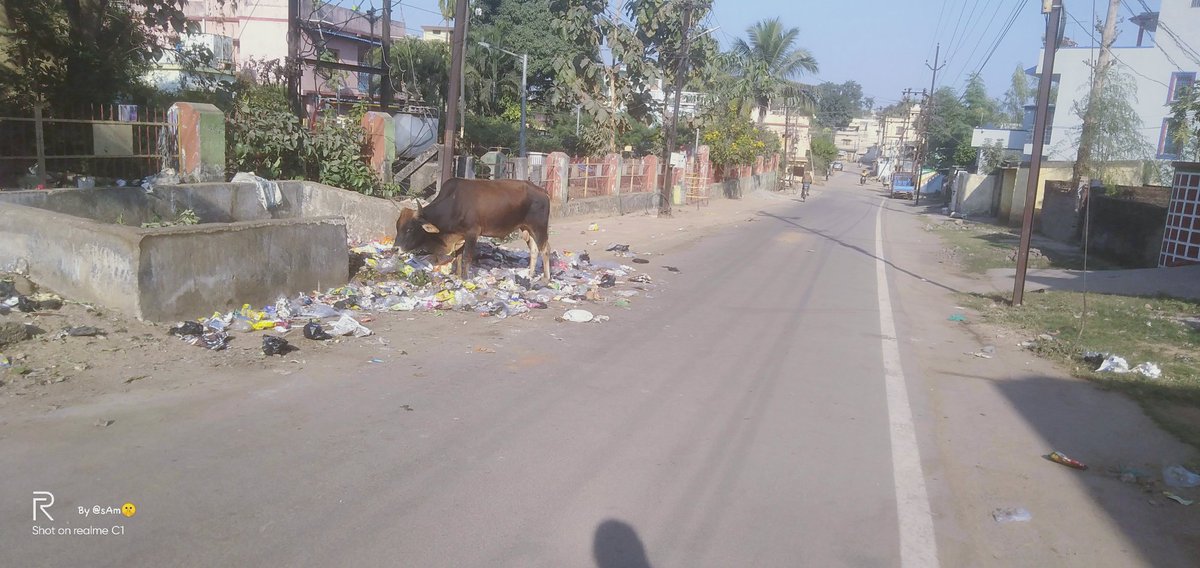 sam_saranbir's tweet photo. The garbage collected from houses is dumped over this area which is further collected by RMC truck. But due to the negligence it is scattered over road and causing foul smell to localities of koelnagar B block region..few days back the new tiles scheme has been used . kindly look https://t.co/gsC0xen3WY