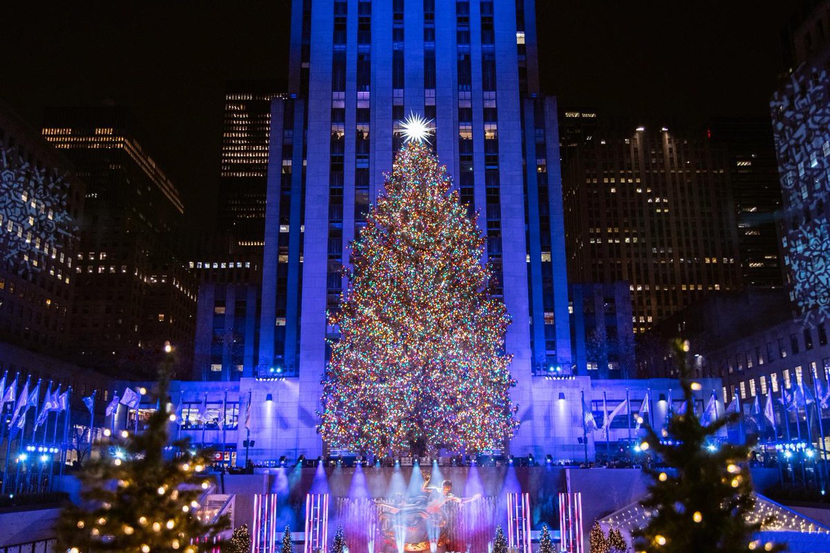CascadasUn's tweet photo. A un costado de la plaza de armas de Puerto Octay, ayer se inauguró el Árbol de Navidad más grande del sur de Chile. https://t.co/zxUGEJM7NT