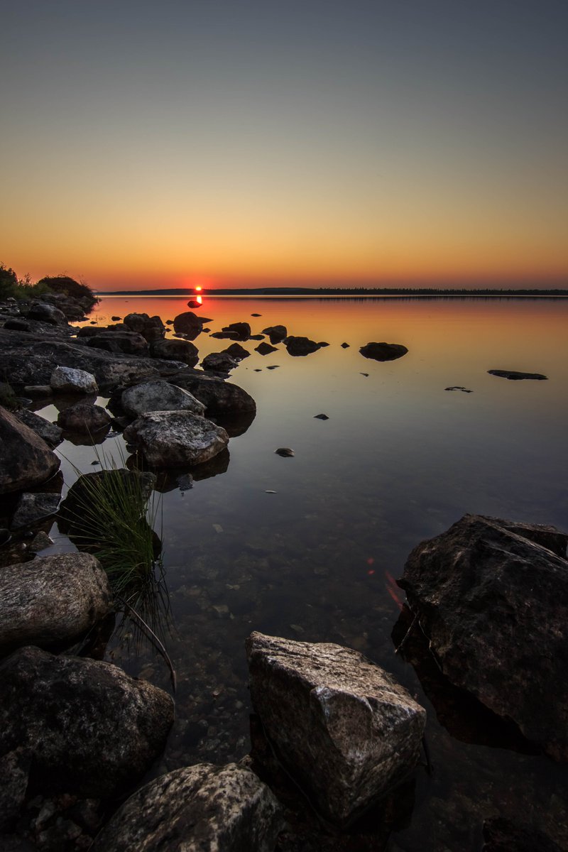 SURPRISE 🌅

To end 2022 i decided to mint one last open edition for this year! Claimable until 24th of december 😄
It's been a fantastic nft journey so far and i'm sooo excited for 2023! 🙏

Would mean the world to me if this edition finds new homes 🤍

Link ⬇️