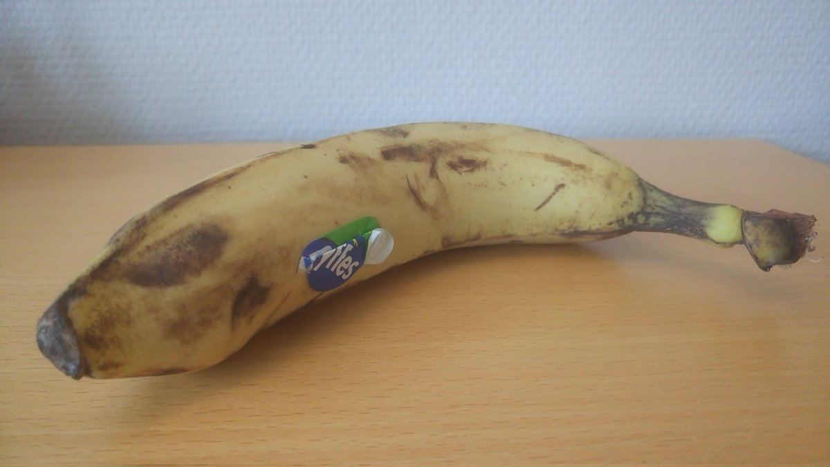 SwedishGamester's tweet photo. It's #LunchTime at #work and I'm enjoying a luxurious full on #ThreeCourseMeal in my #office;
A delicious #banana for #entrée, four pieces of scrumptious #knäckebröd as #MainCourse and a yummy thin #chocolate crisp for #dessert! 😁
What are you having? Can you beat my lunch? https://t.co/oH2UxJz52p